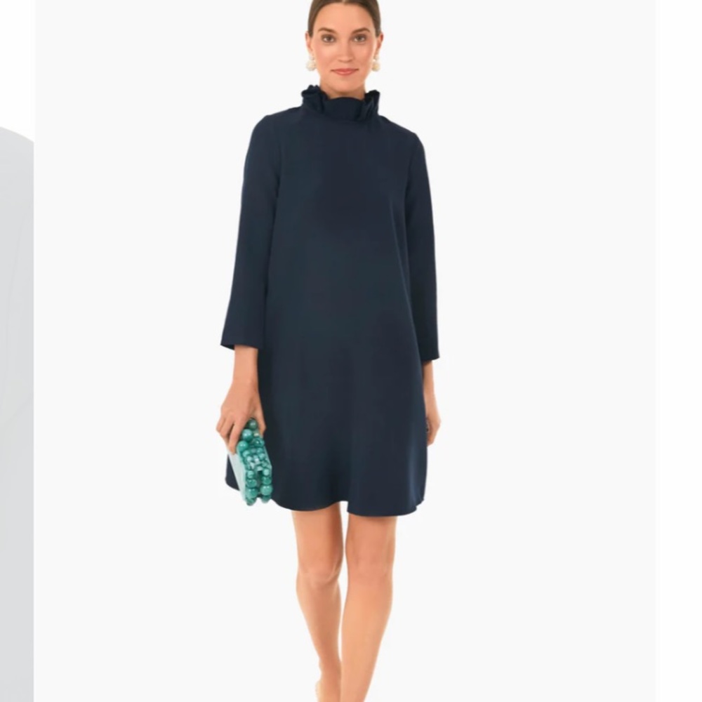 Tuckernuck Navy Ruffle-Neck Mini Dress